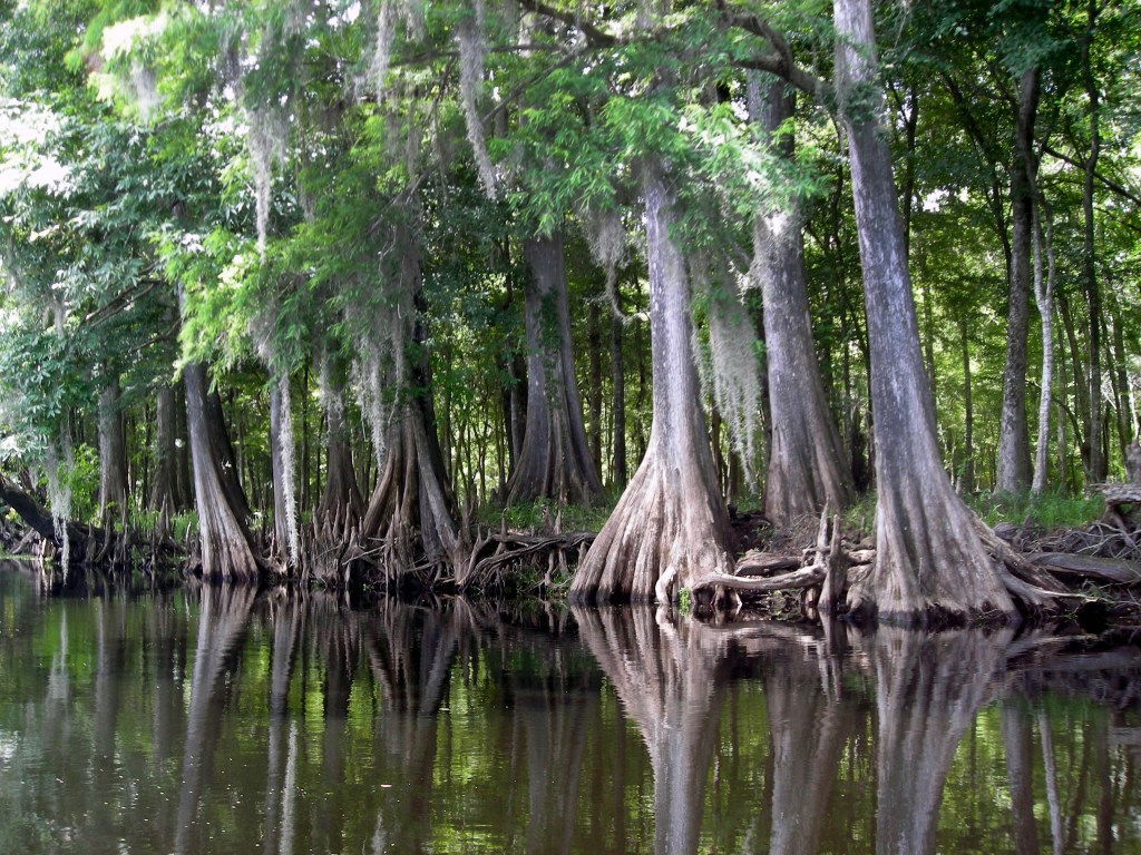 Santa Fe River (07/16/10)