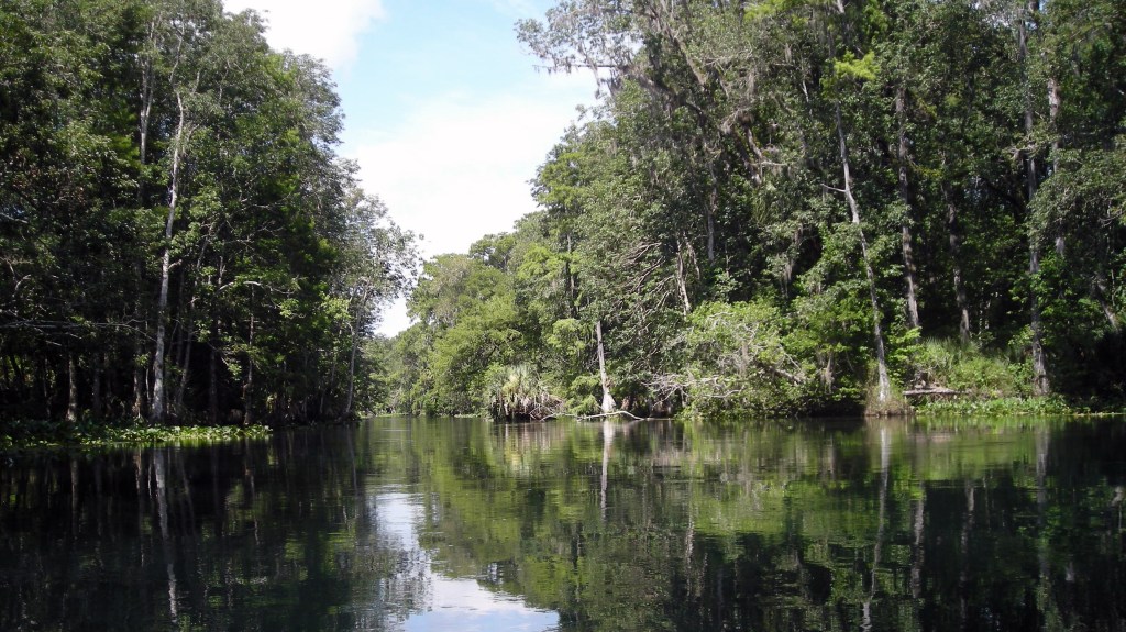 Silver River (07/13/10)