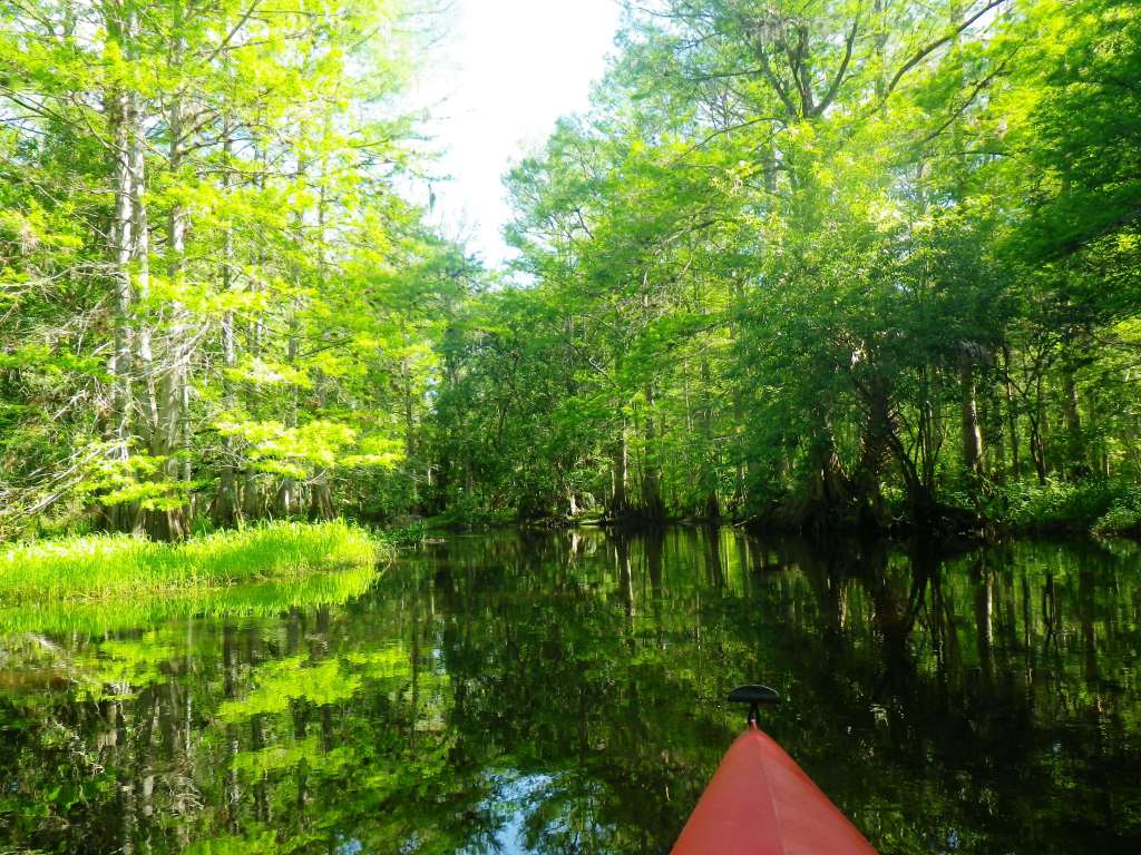 Arbuckle Creek (03/17/12)