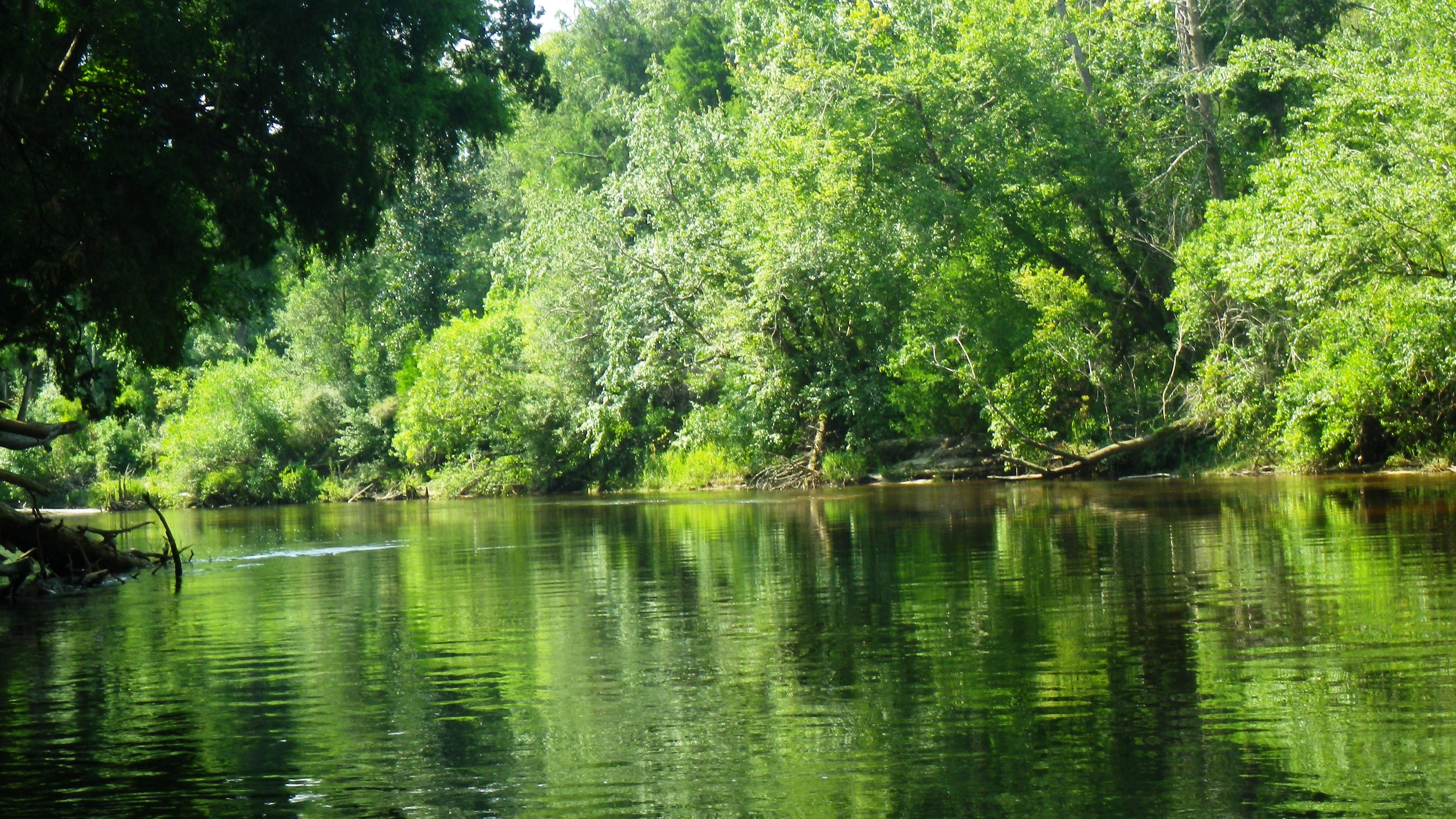A Peaceful Perdido River