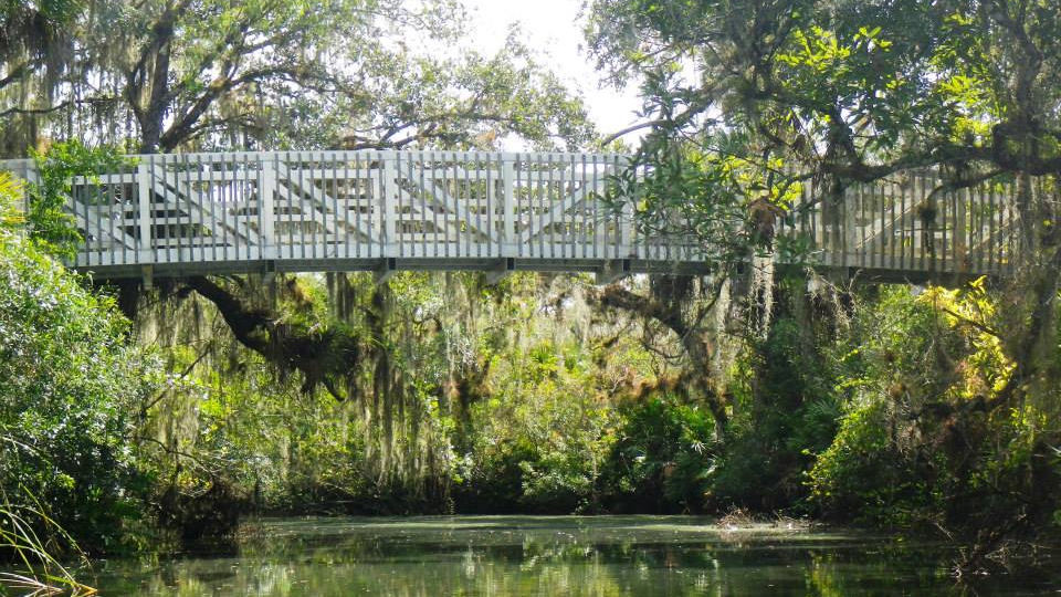 Into the Hickey Creek Mitigation Park