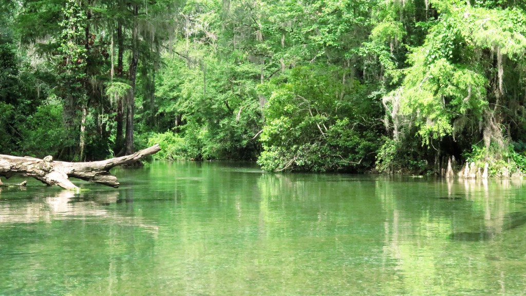 Spring Creek (6/14/2017)