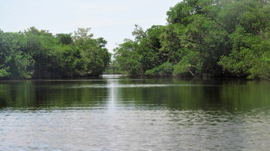 Whiskey Creek (07/19/2018)