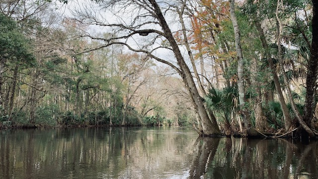 Ocklawaha River: A Return&nbsp;(12/26/2019)