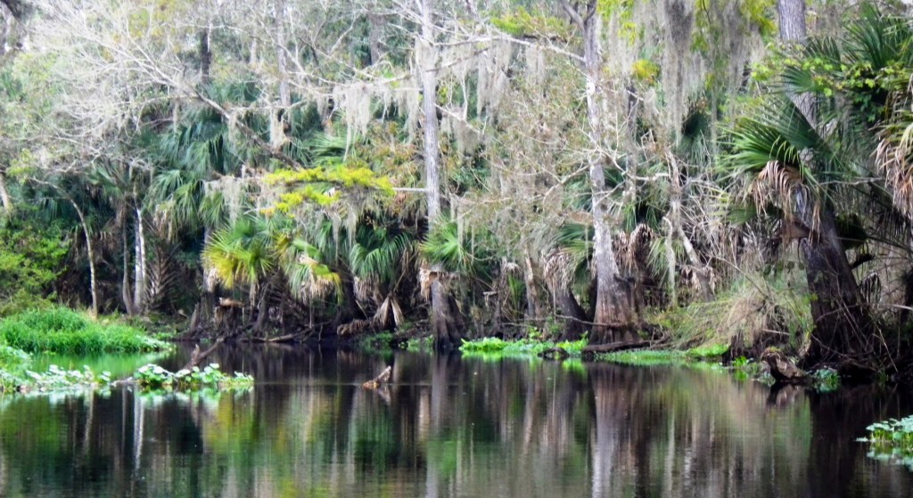 Creek vs. River