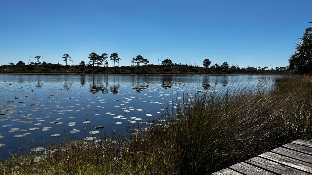 Jonathan Dickinson State Park–Green Loop&nbsp;(01/16/2023)