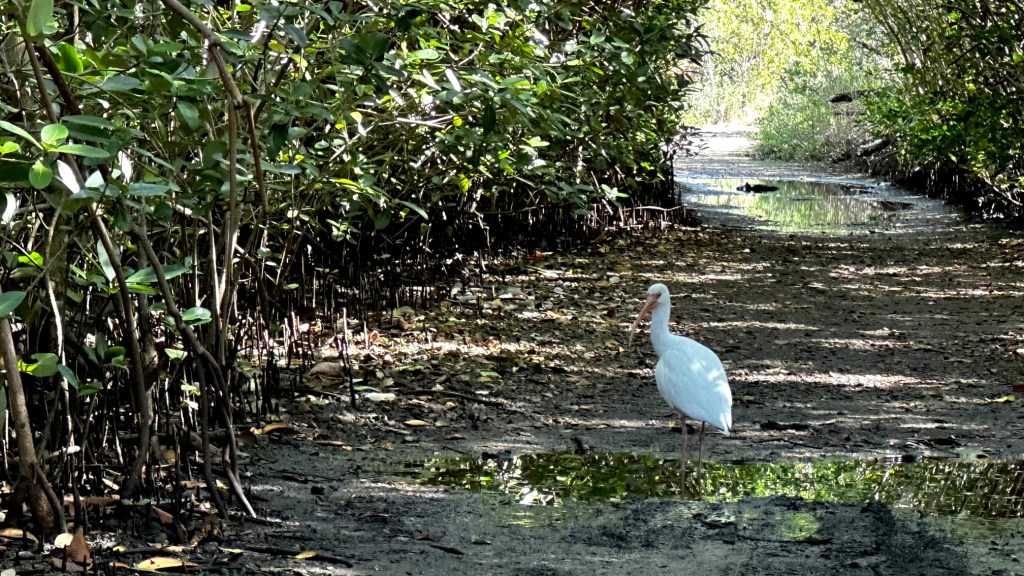 Hugh Taylor Birch State Park&nbsp;(01/19/2023)