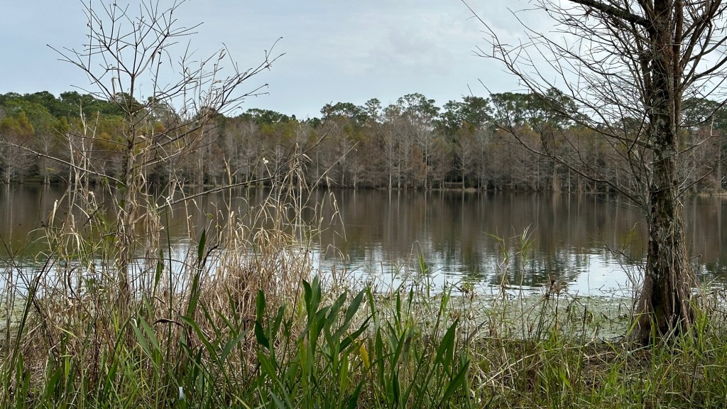 Riverbend Park (01/21/2023)
