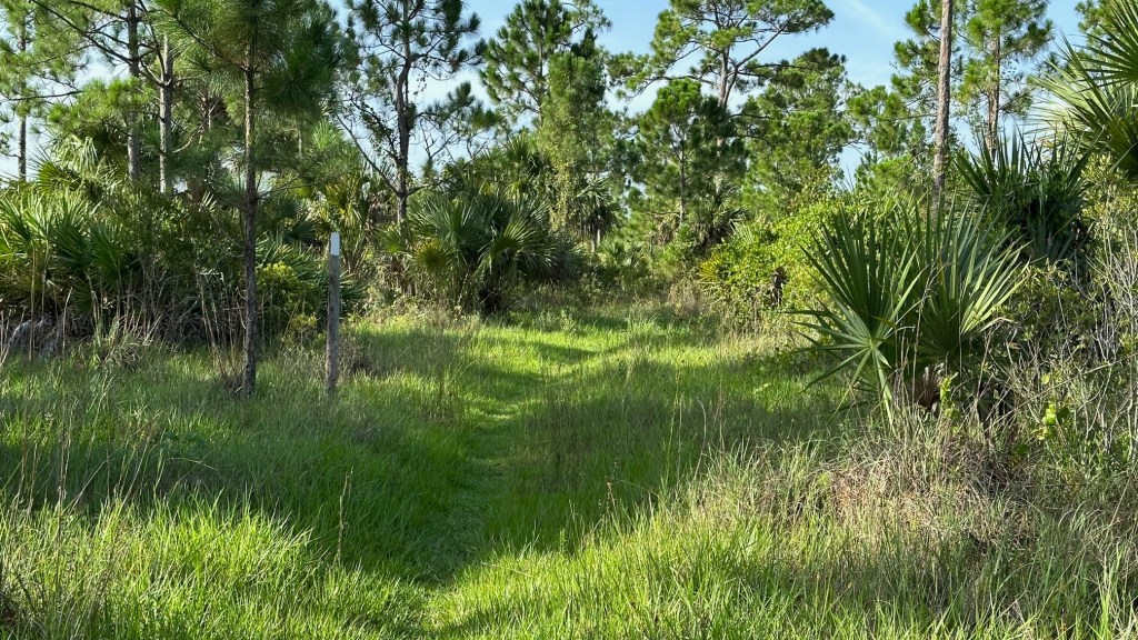 Dupuis WEA Loop 1&nbsp;(07/12/2023)