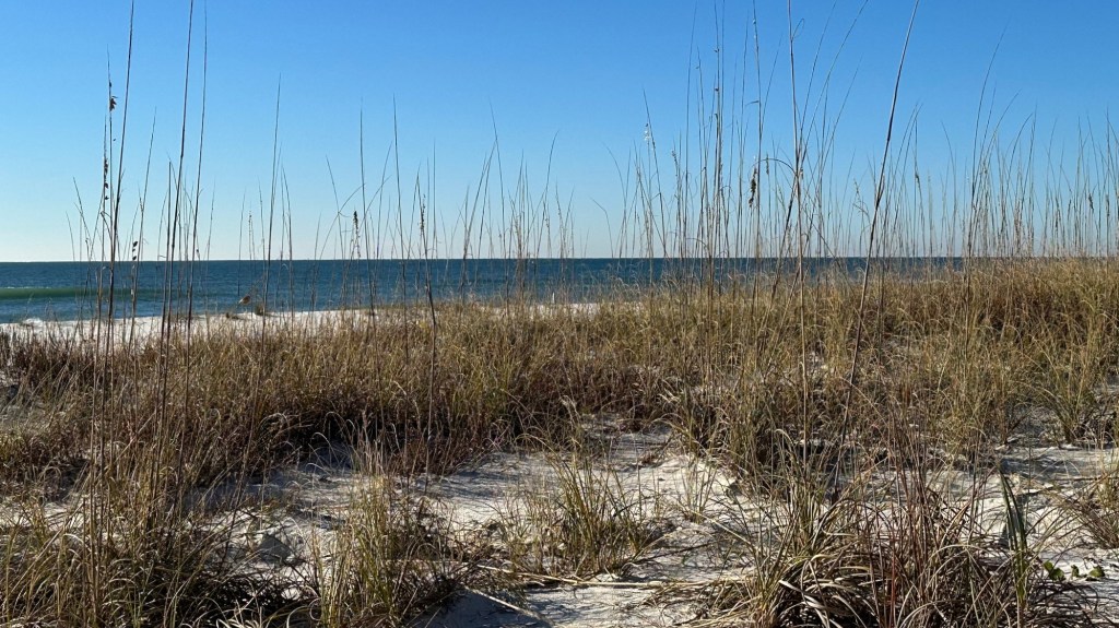 Perdido Key State Park&nbsp;(01/04/2024)
