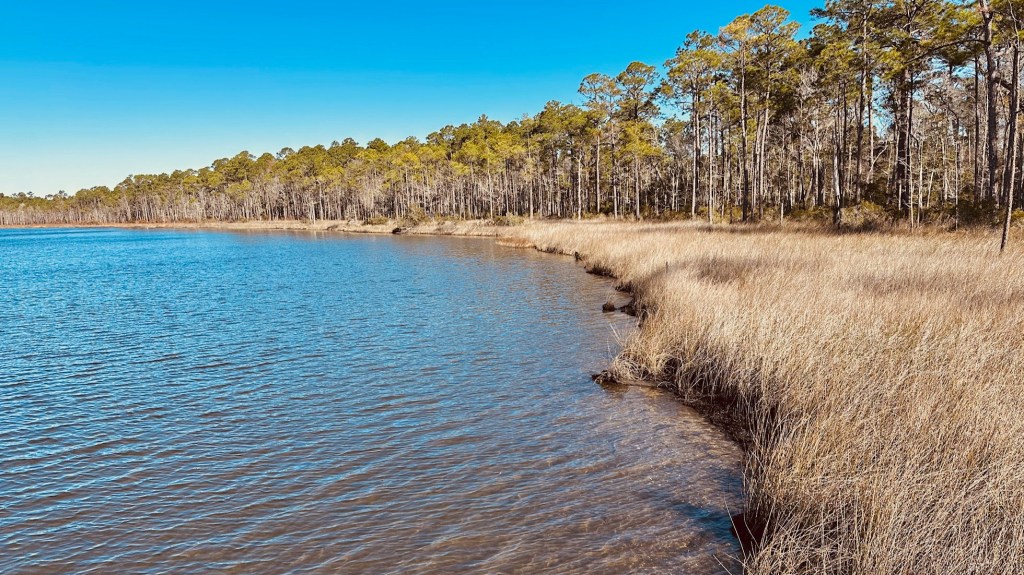 Tarkiln Bayou Preserve State Park&nbsp;(01/04/2024)