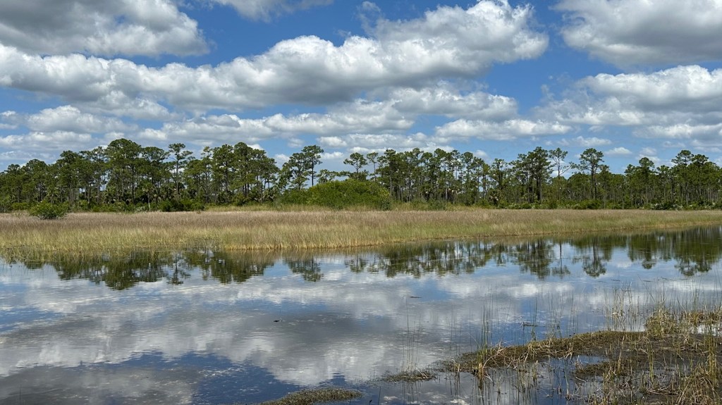 Eyeglass Pond and Wetlands Walk on the Ocean to Lake Trail&nbsp;(04/15/2024)