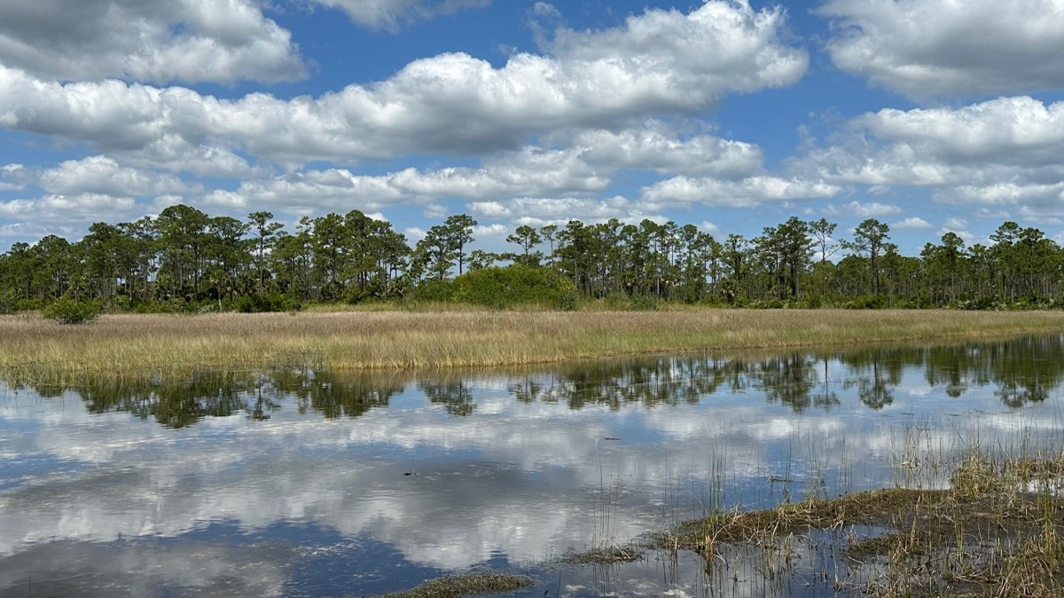 Eyeglass Pond and Wetlands Walk on the Ocean to Lake Trail&nbsp;(04/15/2024)